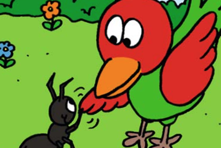 Ameise und Vogel: Ordne die Bilder