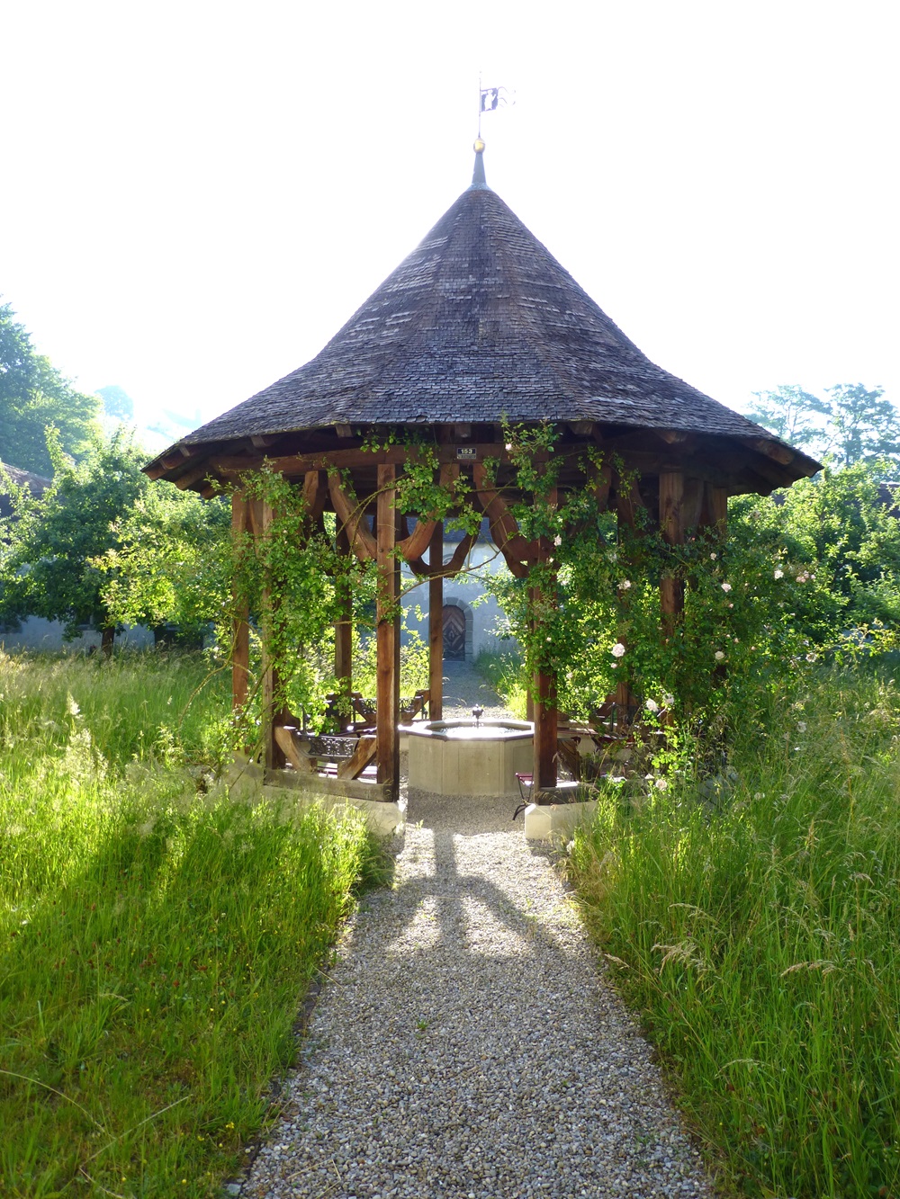 P1040369_bearbeitet.jpg (9)