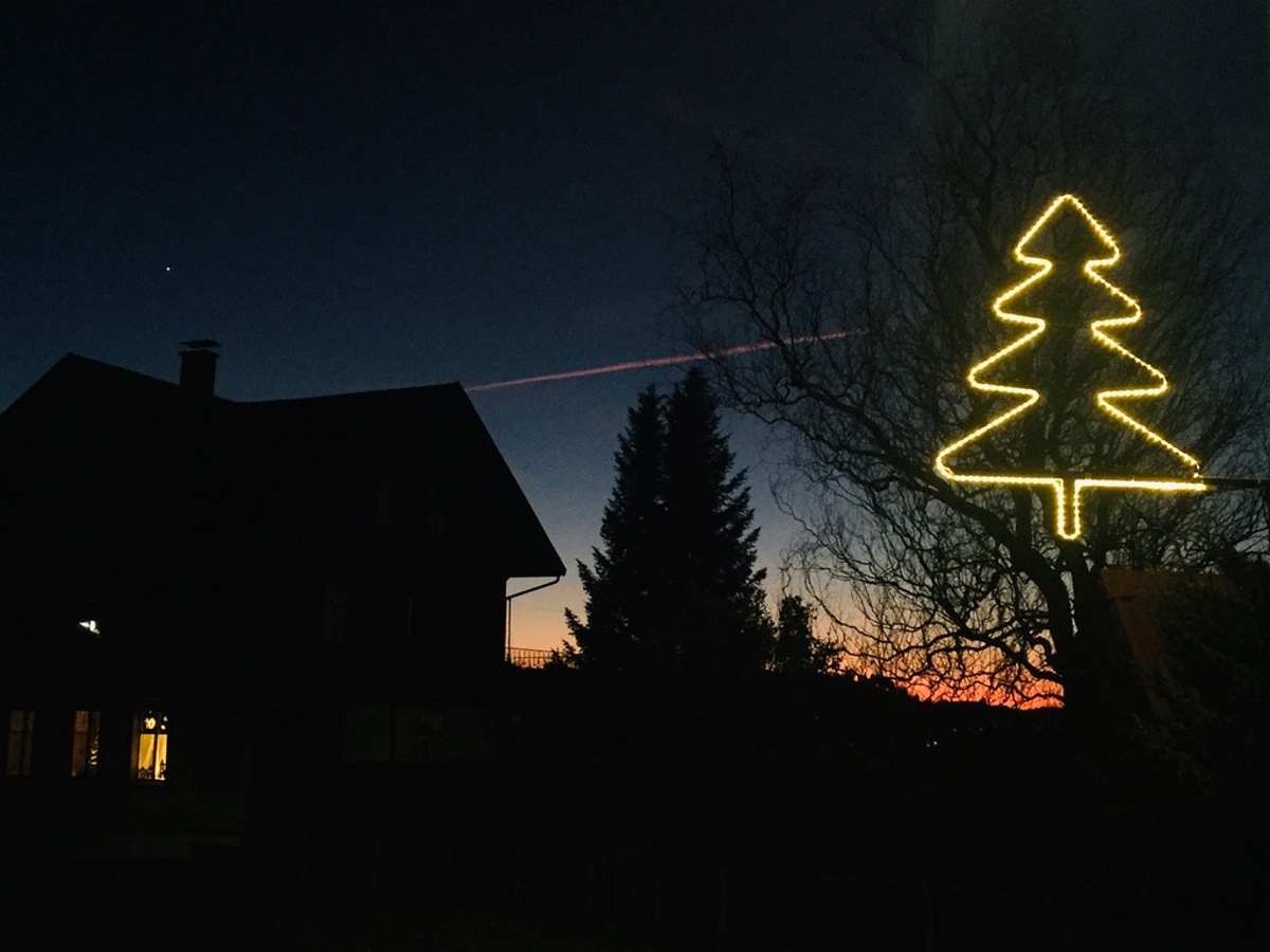 Bild: Martina Tapernoux