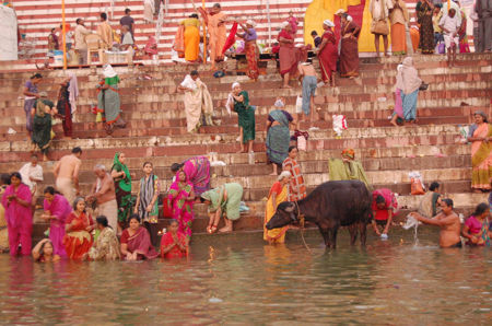 Die Neugier auf Neues