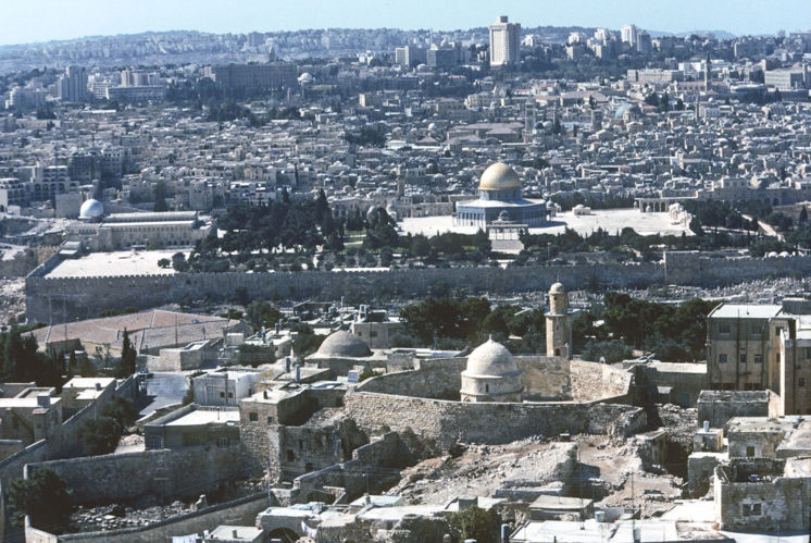 Überlebenskunst Überlebenskunst