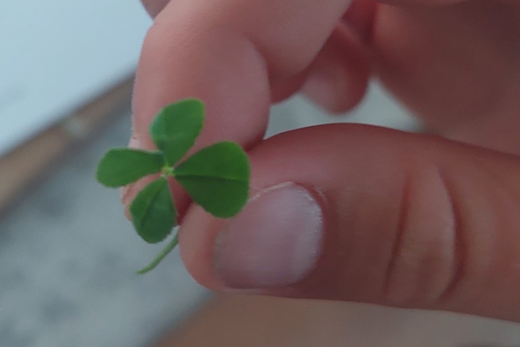 Die Dolmetscherin Die Dolmetscherin