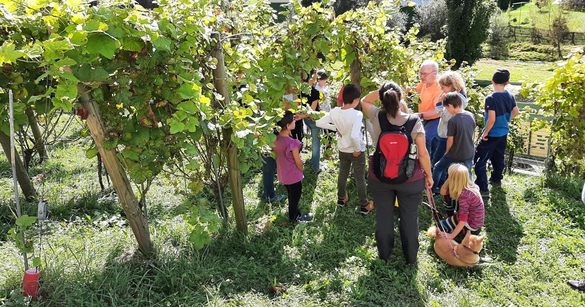 «Wir können süsse Früchte sein»