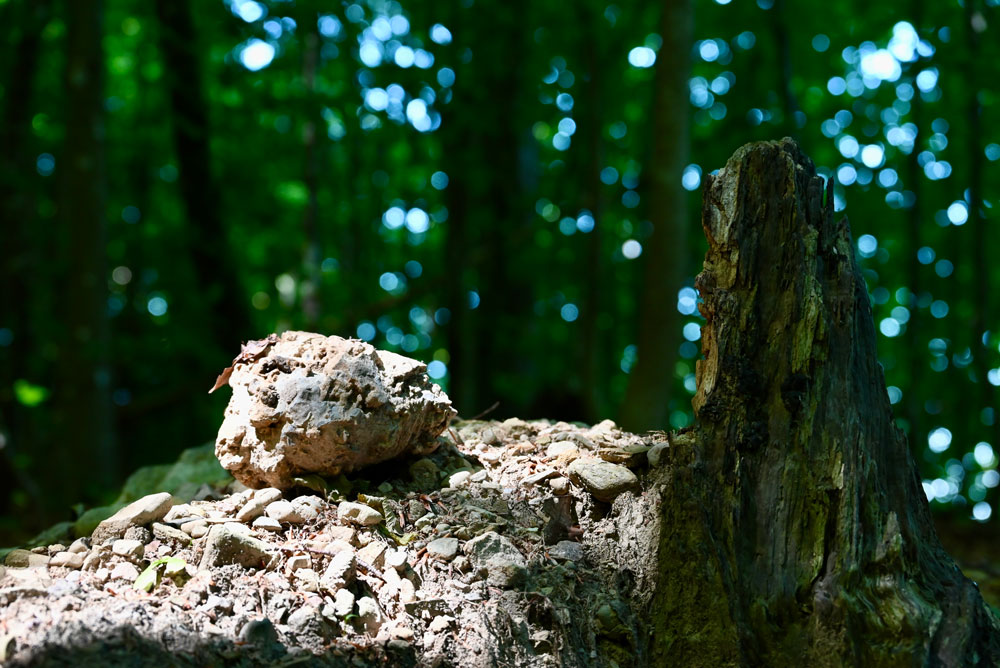 Sorgenstein am Wegrand: «Meine Last ist leicht, mein Joch ist sanft.» (Matthäusevangelium, Kapitel 11, Vers 30) | Foto: Michael Schäppi