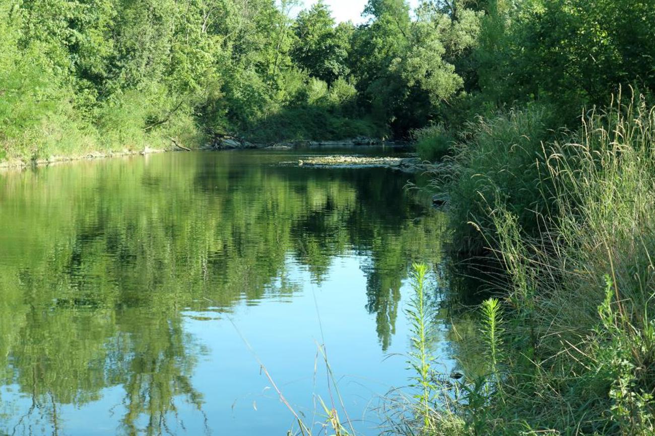 Impressionen am Fluss.