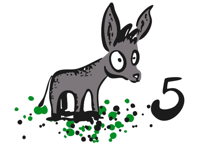 #5 - Einfach ganz toll (1)