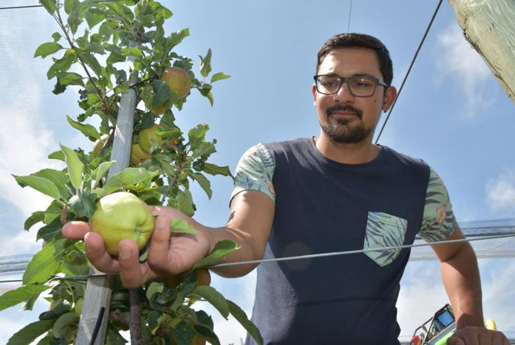 «Die Produktivität muss stimmen»