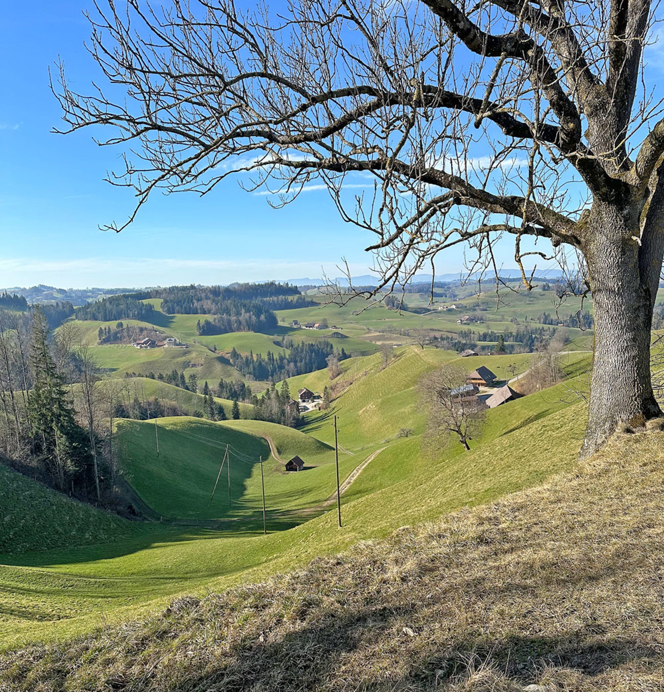 2023 Lu Willsau Hueswil Napfbergland