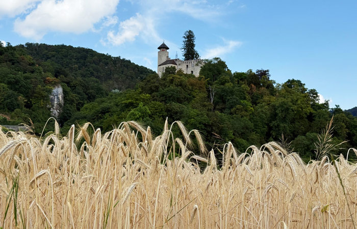 Zwischen Grotten, Göttern und Gemüsebeeten
