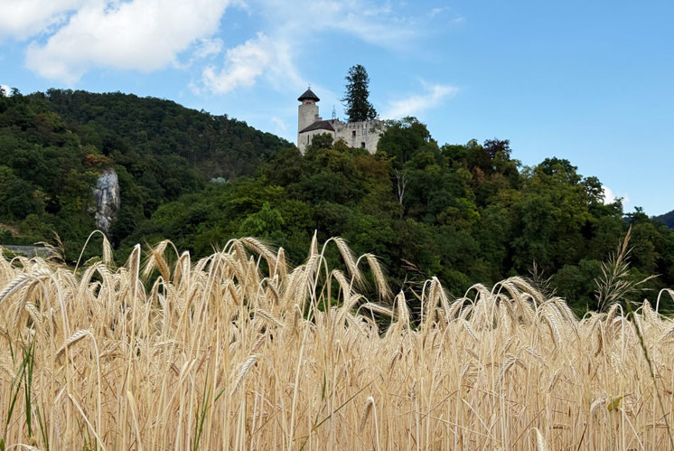 Zwischen Grotten, Göttern und Gemüsebeeten
