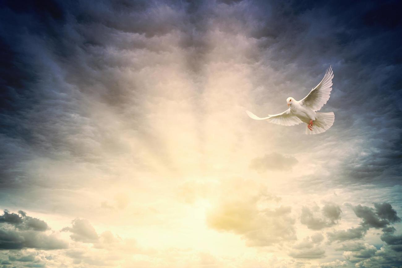 Pfingstliche Symbole: Taube, Feuerzunge und Wind (Bild: pixabay)