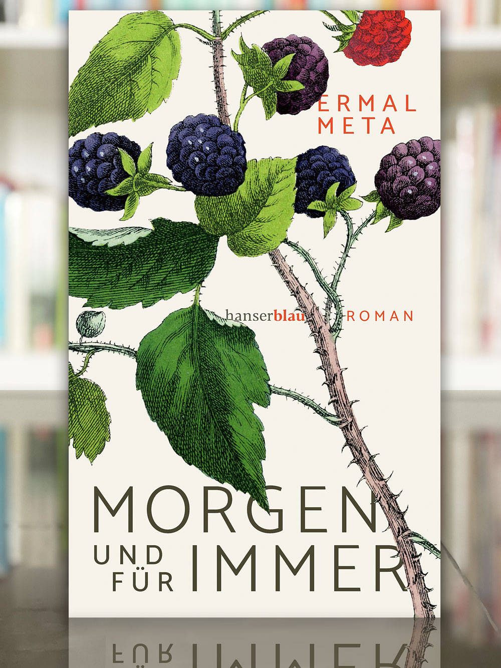 Morgen und für immer, Ermal Meta, 2023, Hanser Verlag