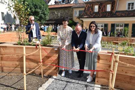 Stiftsbezirk St.Gallen hat wieder einen Klostergarten