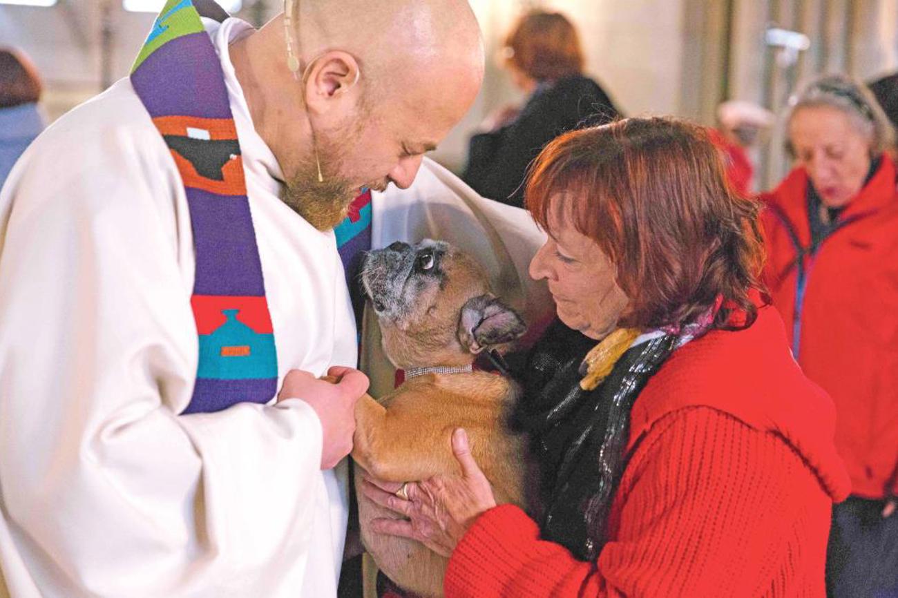 Tiersegnung in der Offenen Kirche Elisabethen Basel mit Pfarrer Frank Lorenz.