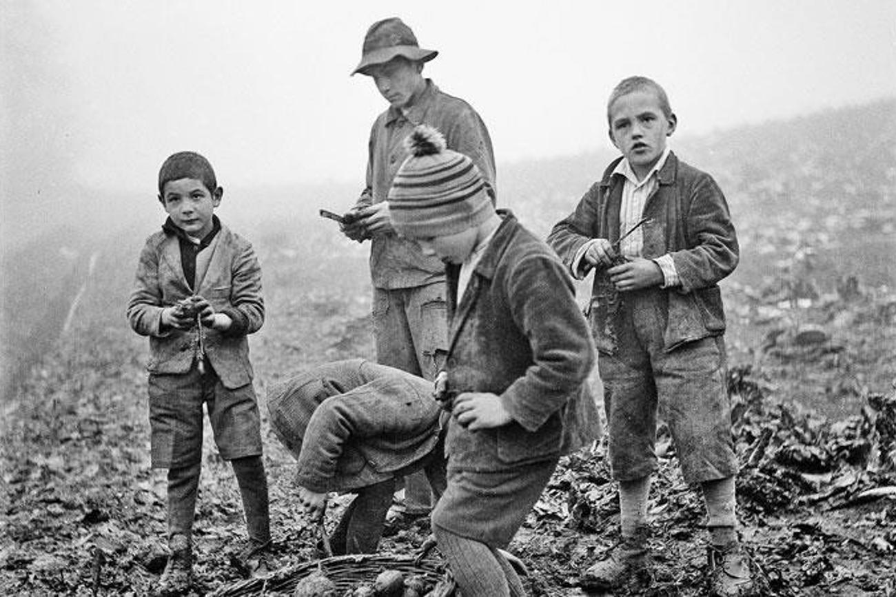 Knaben bei der Feldarbeit, Knabenerziehungsheim Oberbipp, Kanton Bern, 1940.|Paul Senn, FFV, Kunstmuseum Bern