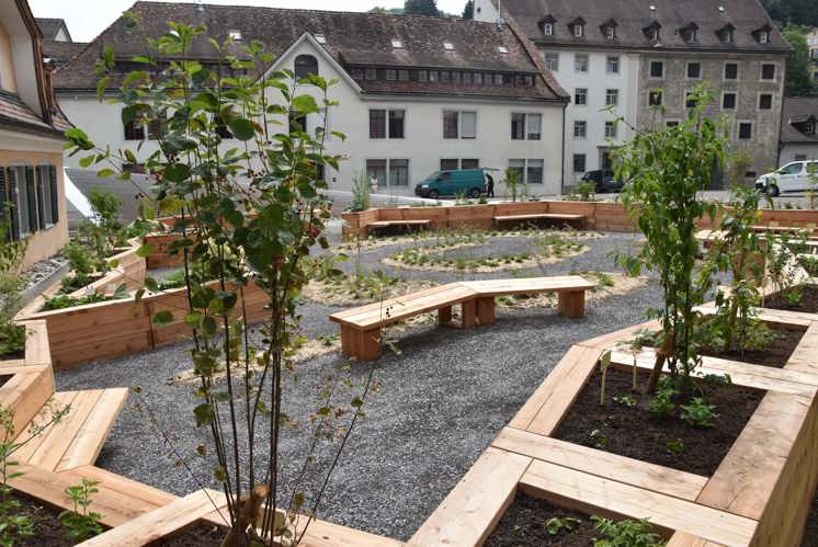Stiftsbezirk St.Gallen hat wieder einen Klostergarten