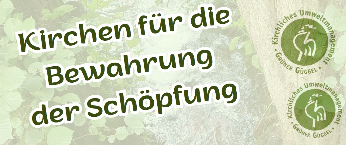 Infoanlass_Gruener_Gueggel.jpg (1)