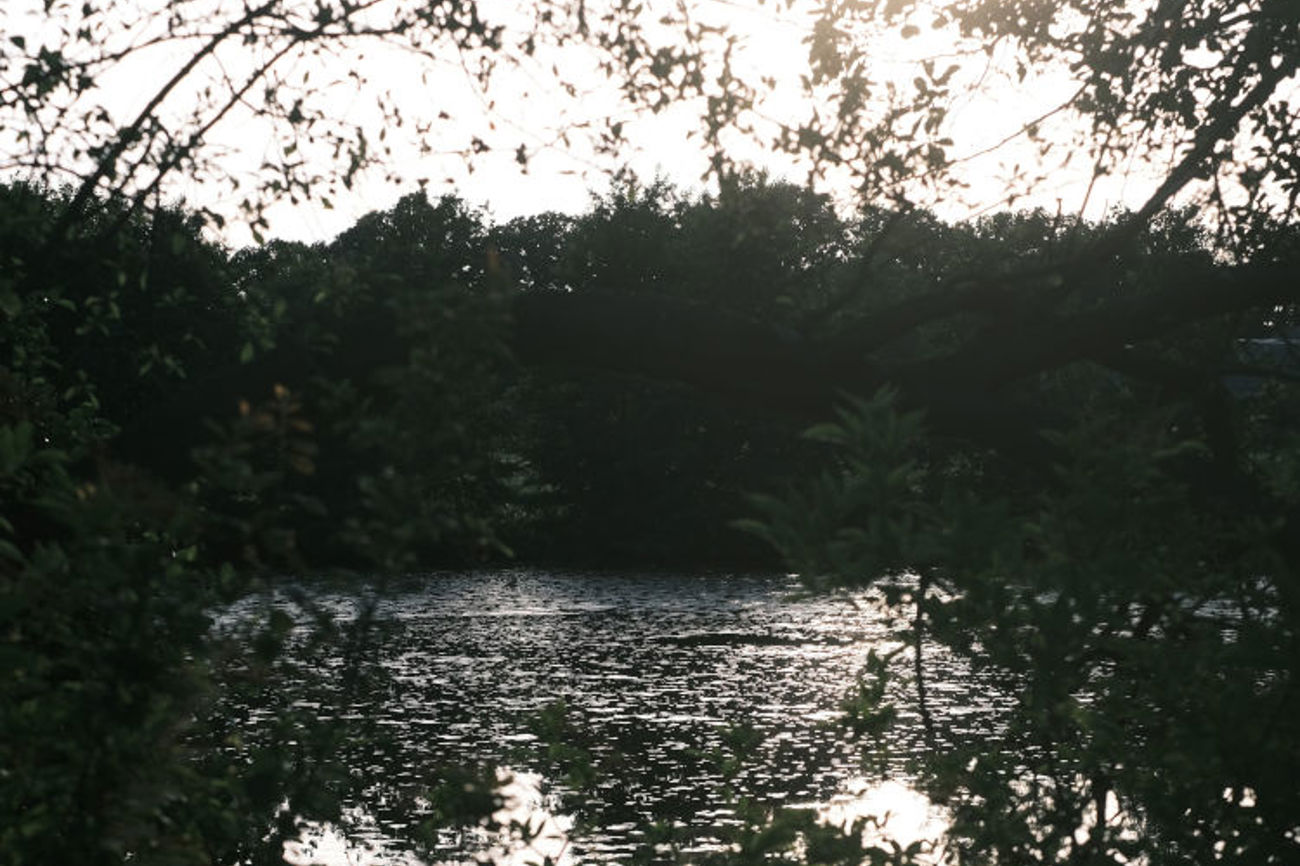 Besagter Teich, an dem wir sassen, im Abendlicht. | Foto: Lars Syring