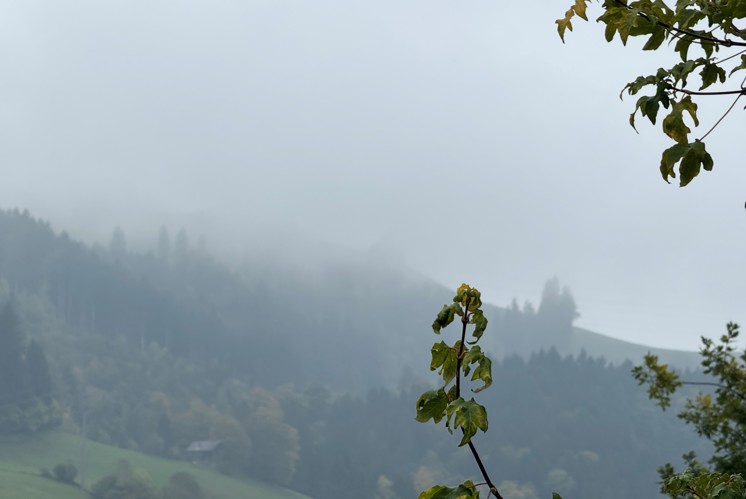 Wo bleibt er denn?