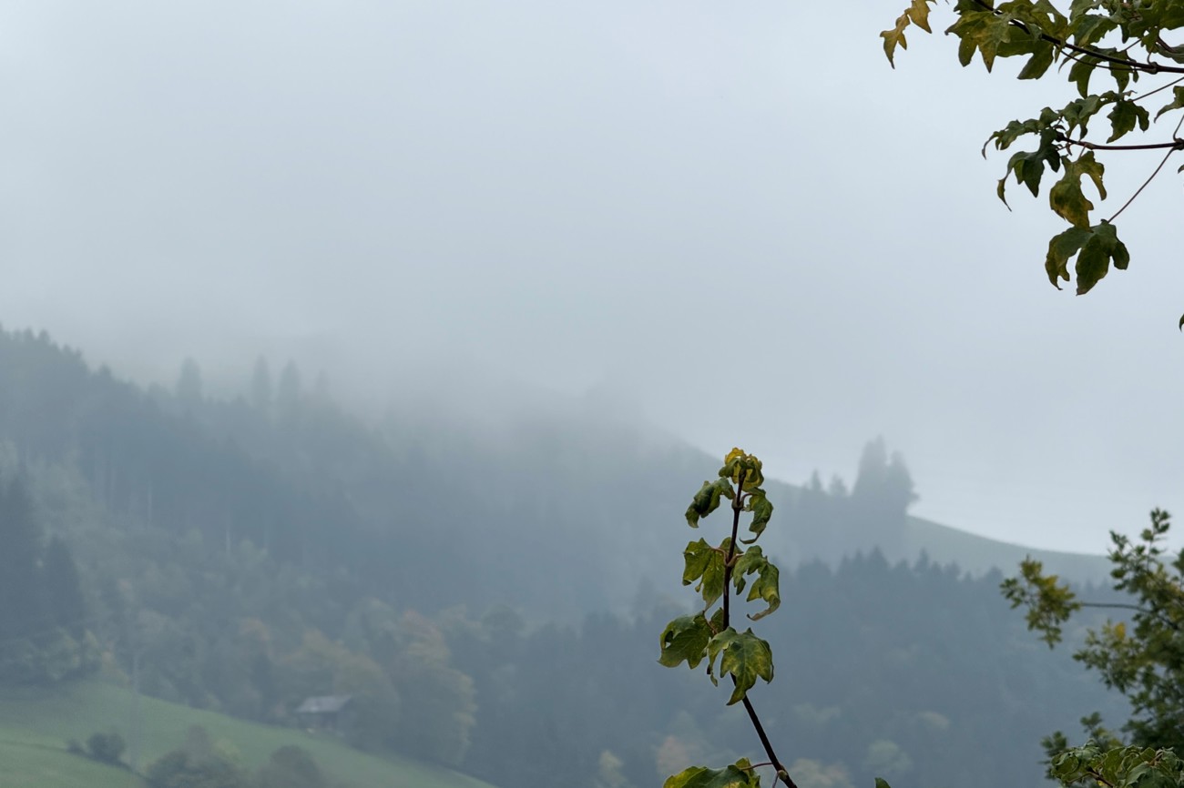 Kommt er? Oder kommt er nicht? | Foto: Lars Syring Kommt er? Oder kommt er nicht? | Foto: Lars Syring
